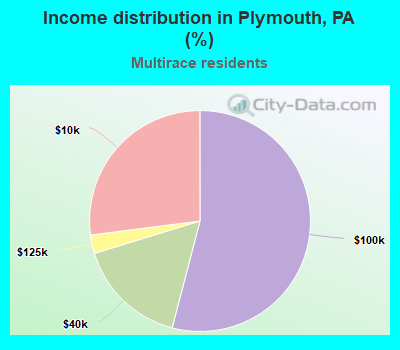 Income distribution in Plymouth, PA (%)