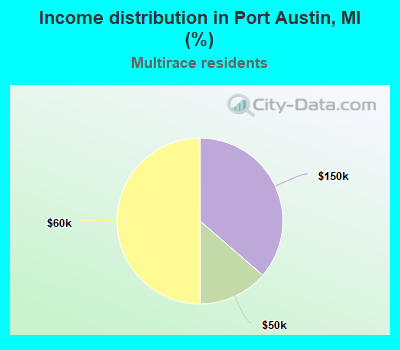 Income distribution in Port Austin, MI (%)