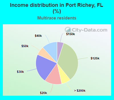 Income distribution in Port Richey, FL (%)