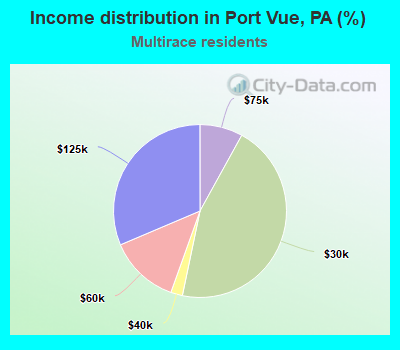 Income distribution in Port Vue, PA (%)