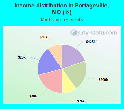 Income distribution in Portageville, MO (%)