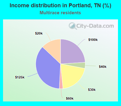 Income distribution in Portland, TN (%)