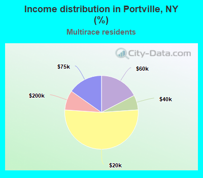 Income distribution in Portville, NY (%)