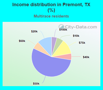 Income distribution in Premont, TX (%)