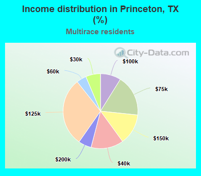 Income distribution in Princeton, TX (%)