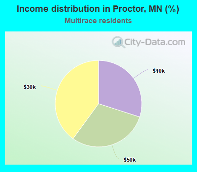 Income distribution in Proctor, MN (%)