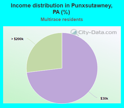 Income distribution in Punxsutawney, PA (%)
