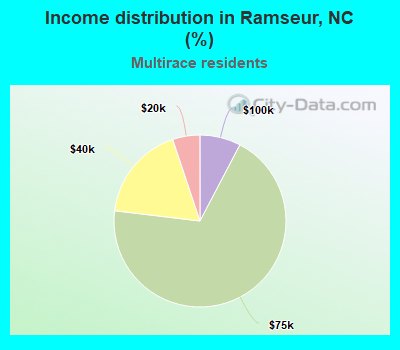 Income distribution in Ramseur, NC (%)