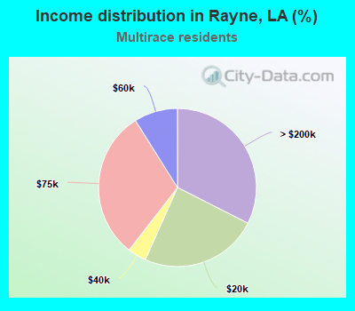Income distribution in Rayne, LA (%)