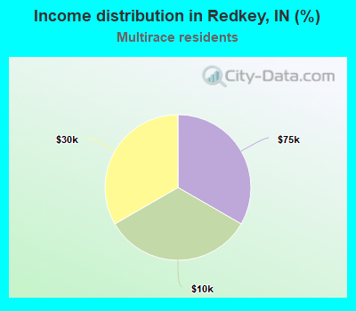 Income distribution in Redkey, IN (%)