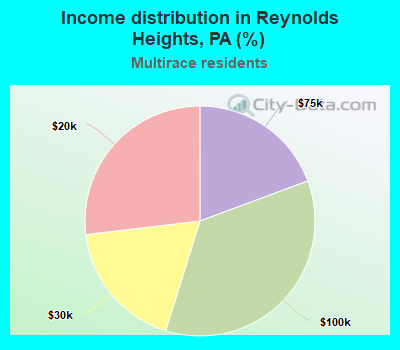 Income distribution in Reynolds Heights, PA (%)