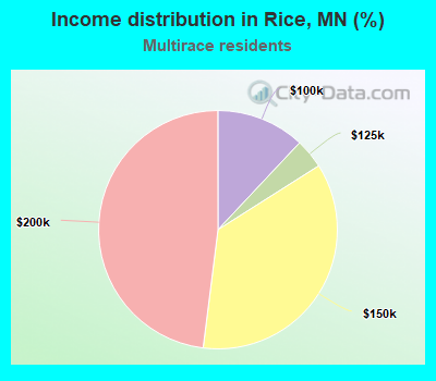Income distribution in Rice, MN (%)