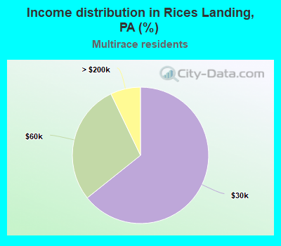 Income distribution in Rices Landing, PA (%)