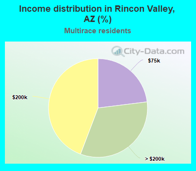 Income distribution in Rincon Valley, AZ (%)