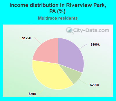 Income distribution in Riverview Park, PA (%)