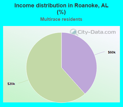 Income distribution in Roanoke, AL (%)