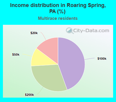 Income distribution in Roaring Spring, PA (%)