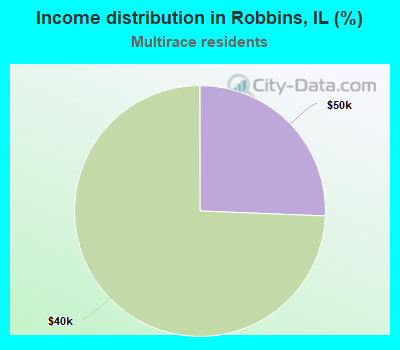 Income distribution in Robbins, IL (%)