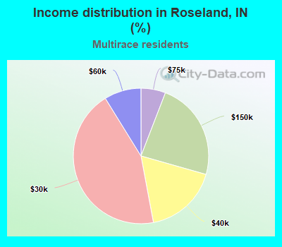 Income distribution in Roseland, IN (%)
