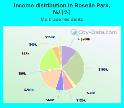 Income distribution in Roselle Park, NJ (%)