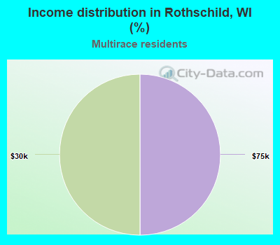 Income distribution in Rothschild, WI (%)