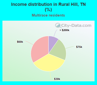 Income distribution in Rural Hill, TN (%)