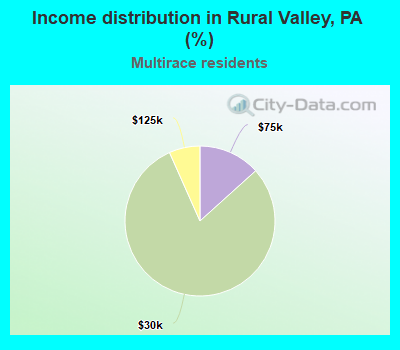 Income distribution in Rural Valley, PA (%)