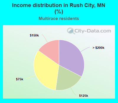 Income distribution in Rush City, MN (%)