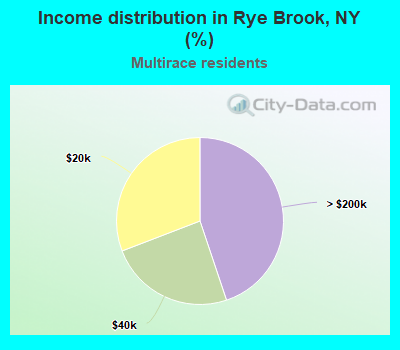 Income distribution in Rye Brook, NY (%)