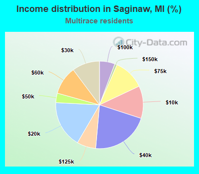 Income distribution in Saginaw, MI (%)