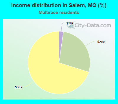 Income distribution in Salem, MO (%)