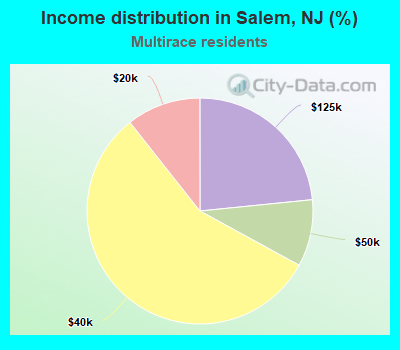 Income distribution in Salem, NJ (%)