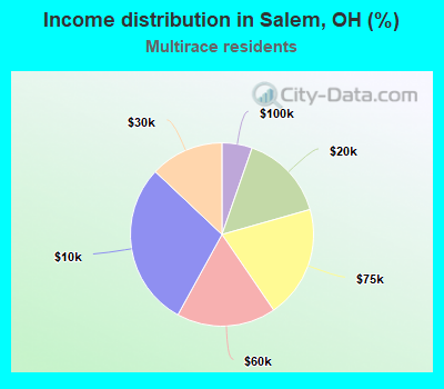 Income distribution in Salem, OH (%)