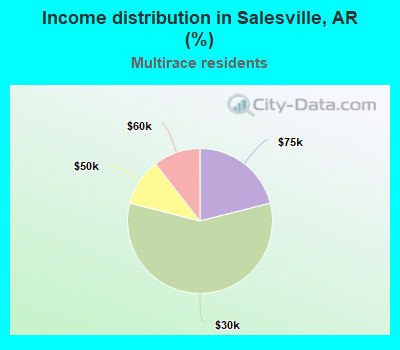 Income distribution in Salesville, AR (%)