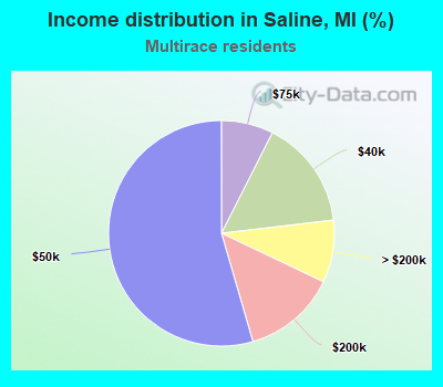 Income distribution in Saline, MI (%)