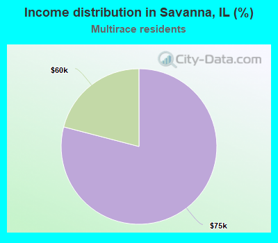 Income distribution in Savanna, IL (%)