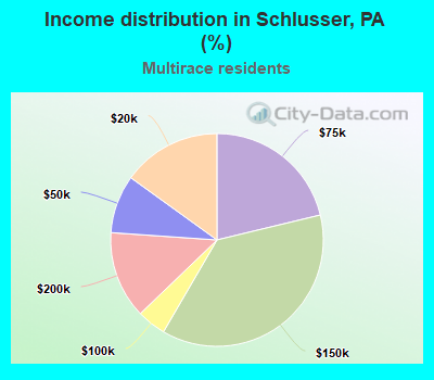 Income distribution in Schlusser, PA (%)