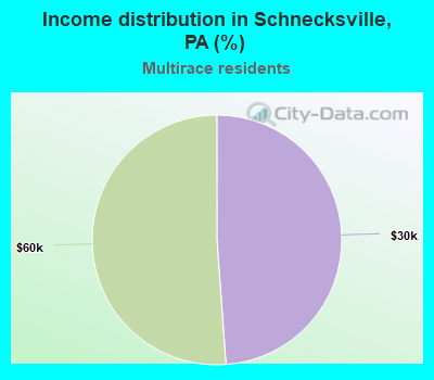 Income distribution in Schnecksville, PA (%)