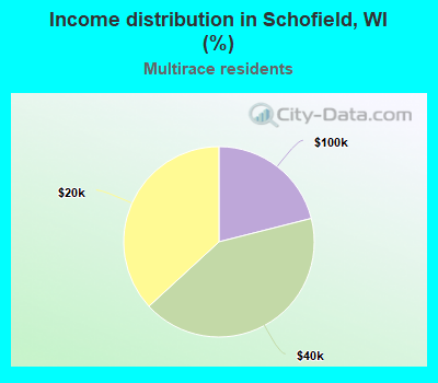 Income distribution in Schofield, WI (%)