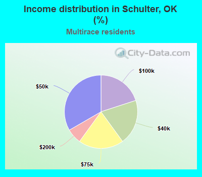 Income distribution in Schulter, OK (%)