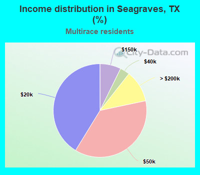 Income distribution in Seagraves, TX (%)
