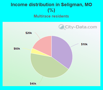 Income distribution in Seligman, MO (%)