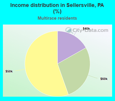 Income distribution in Sellersville, PA (%)