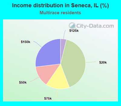 Income distribution in Seneca, IL (%)