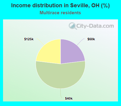 Income distribution in Seville, OH (%)