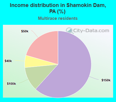 Income distribution in Shamokin Dam, PA (%)