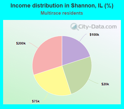 Income distribution in Shannon, IL (%)