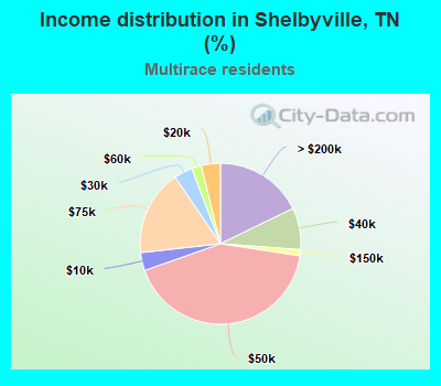Income distribution in Shelbyville, TN (%)