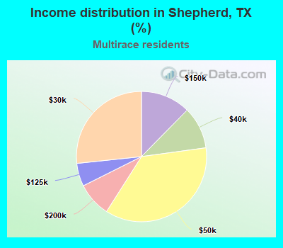Income distribution in Shepherd, TX (%)