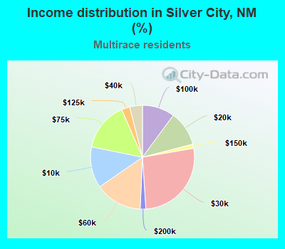 Income distribution in Silver City, NM (%)